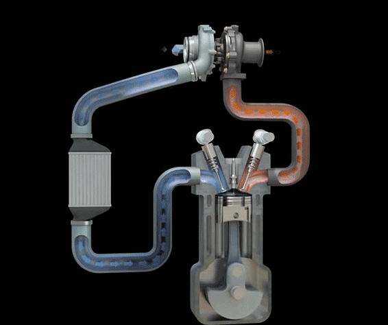 微信圖片_20190309082304